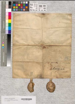 Urkunde des Bischofs Franz in der Streitsache wegen des Testaments des verstorbenen Domvicars Johann Berckemeiger.