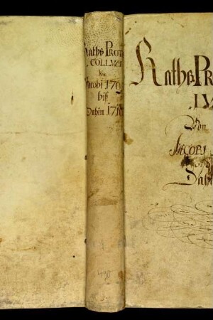 Ratsprotokolle, 1709 Juli 31. - 1710 Juli 22.