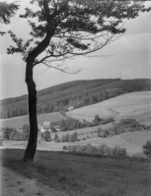 Blick auf den Thromberg