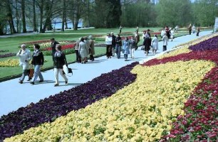 Mainau, Insel Mainau: Blumenrabatten im Südgarten