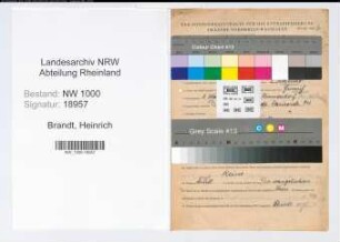 Entnazifizierung Heinrich Brandt, geb. 03.03.1890 (Schmied)
