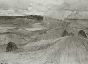 Abgeerntete Felder