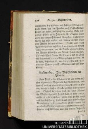 Beschneiden. Das Beschneiden der Bäume.