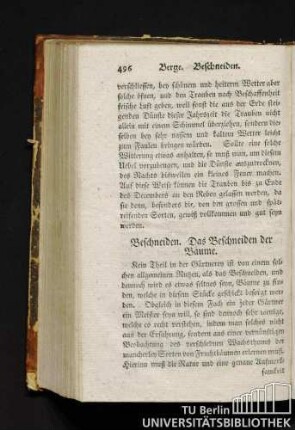 Beschneiden. Das Beschneiden der Bäume.