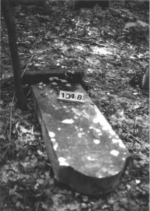 Grabstein 1048 (Index: 99899659) Material: Sandstein Zustand: Stele liegt Maße HxBxT: 138x48x16 cm Beschreibung: aufgesockelte Stele mit Konvexbogenabschluss, vom Sockel gestürzt, liegt Besonderheit: vermutete Identifizierung nach Gräberverzeichnis: Grabstein 1048
