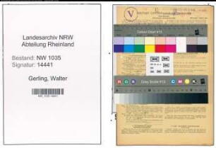 Entnazifizierung Walter Gerling , geb. 08.05.1901 (Schlosser)