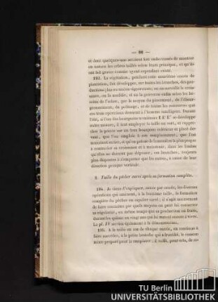 2. Taille du pêcher carré après sa formation complète.
