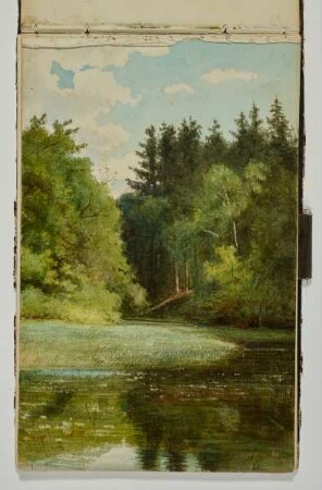 Stiller Waldsee