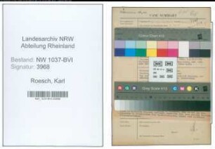 Entnazifizierung Karl Roesch , geb. 13.02.1895 (Assistent)