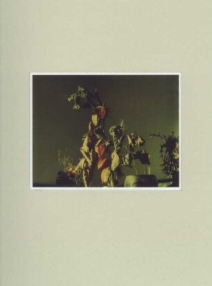 Polaroid #10