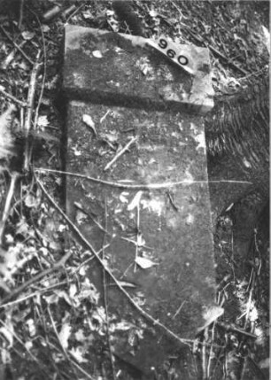 Grabstein 960 (Index: 99899489) Material: Sandstein Zustand: Stein liegt Maße HxBxT: 137x66x25 cm Beschreibung: aufgesockelte Stele mit auskragendem Dreiecksabschluss, umgestürzt, liegt,: Grabstein 960