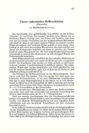 Unsere einheimischen Brillenschötchen (Biscutella)