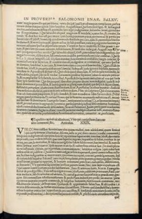 Articulus. XXIX.