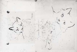 Zwei Studienblätter "Angorakatze mit Jungen, scharf beobachtend" und "Katzenkopf" : Zwei Studienblätter "Angorakatze mit Jungen, scharf beobachtend" und "Katzenkopf". Kohlezeichnung (1932 bzw. 1933; Etha Richter). Dresden-Südvorstadt, Atelier der Künstlerin