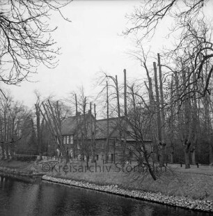 Mühlenredder: alte Alleebäume nach Stutzen der Baumkronen: Schlossmühle: vorne Schlossgraben mit Uferbefestigung