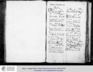 Conceptio (Lesungen und Reimoffizium)