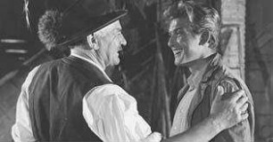 Der Major und die Stiere