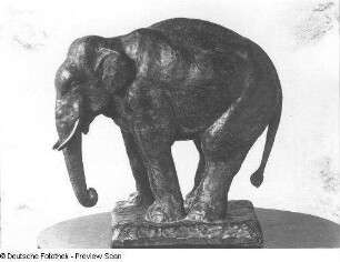 Pendelnder Elefant (Indischer Elefant)