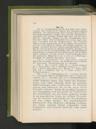 Tab. 43.