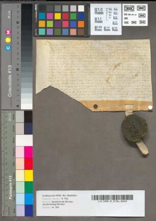 Freibrief [Hasken Kotten im Kirchspiel Ölde].