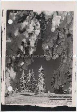Winterlandschaft, Garmisch-Partenkirchen