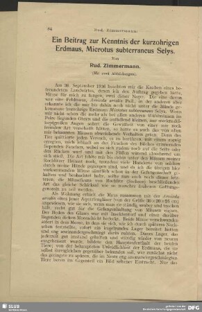 Ein Beitrag zur Kenntnis der kurzohrigen Erdmaus, Microtus subterraneus Selys