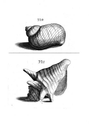 320. - 321.