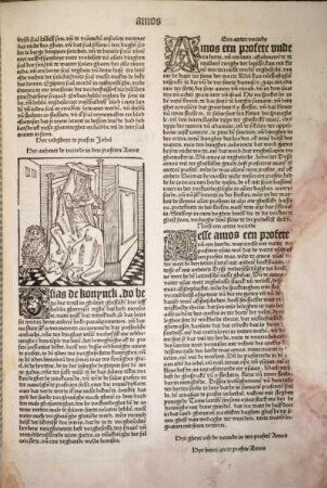 [Hyr anheuet de vorrede in den profeten Amos]