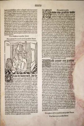 [Hyr anheuet de vorrede in den profeten Amos]