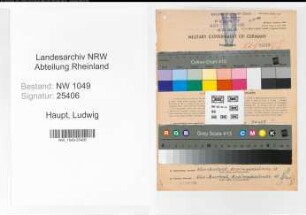 Entnazifizierung Ludwig Haupt , geb. 30.04.1902 (Ingenieur)