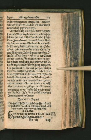 [Das XLIV. Capitel. - Das XLVI. Capitel.]