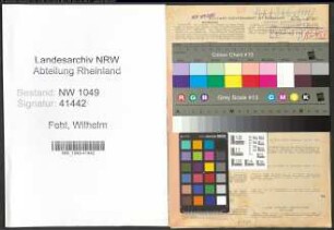 Entnazifizierung Wilhelm Fehl , geb. 12.10.1887 (Mueller)