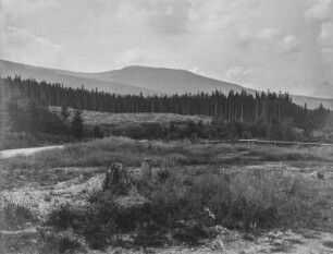 Wald : Blick über eine Landschaft mit Wald