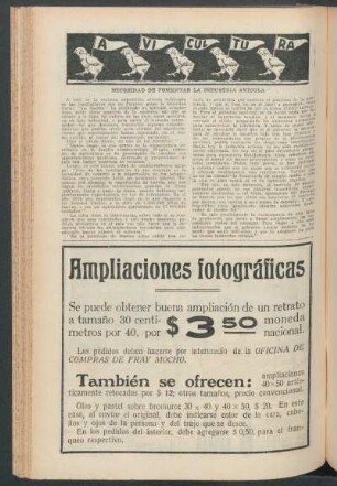 Avicultura : Necesidad de fomentar la industria avícola