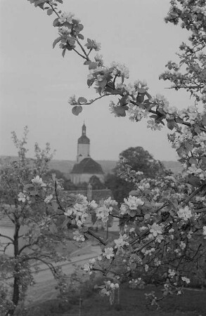 Blick auf ein thüringisches Dorf mit Kirche, im Vordergrund ein blühender Baum