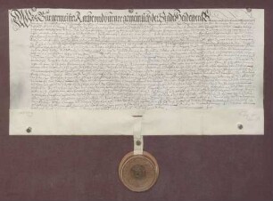 Huldigung der Stadt Heidelberg gegenüber dem Administrator und Vormund Pfalzgraf Johann Casimir.