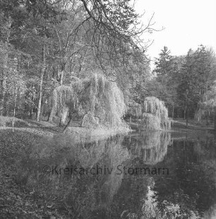 Kurpark: Salzteich
