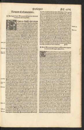 Novum Testamentum.