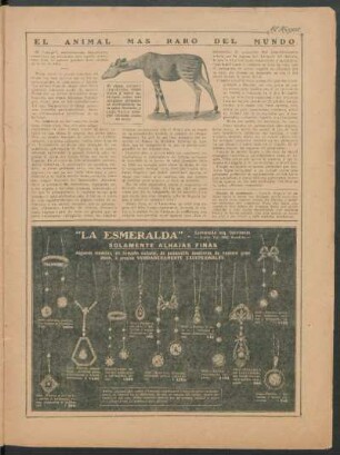 El animal más raro del mundo