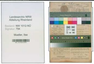 Entnazifizierung Ilse Mueller , geb. 01.07.1921 (Angest.)