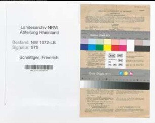 Entnazifizierung Friedrich Schnittger , geb. 06.09.1888 (Oberinspektor)