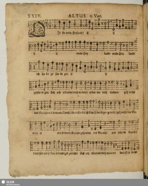 XXIV. O Jesu mein Heiland