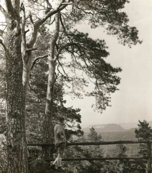 Festung Königstein