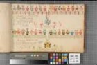 Proband: Recke, Hermann von der; Vater: Recke, [Johann] von der; Mutter: Galen, [Mechtild Judith] von: [Hildesheim, Domkapitel]