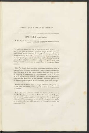 Royale Ordinaire. Cerasus Regalis Communis ...