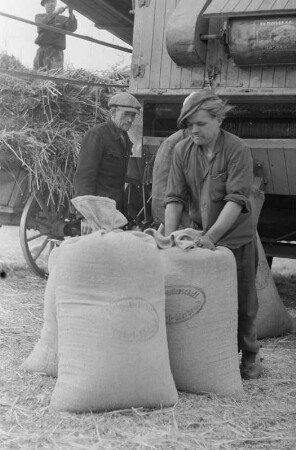 Reportage: Maschinen-Ausleih-Stationen (MAS) Sachsendorf : Landarbeiter vor einer Dreschmaschine