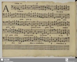 Willaert, Adrian: Ave Maria gratia plena
