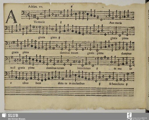 Willaert, Adrian: Ave Maria gratia plena