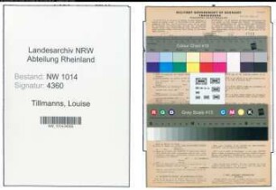 Entnazifizierung Louise Tillmanns , geb. 01.04.1911 (Stenotypistin)