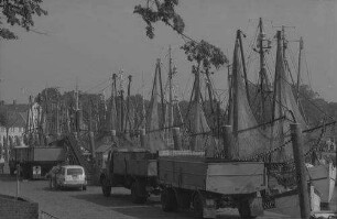 Tönning: Fischlastwagen am Hafen
